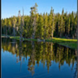 Meet your Posher, RG